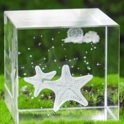 3d photo in crystal