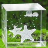 3d-photo-in-crystal-01.jpg