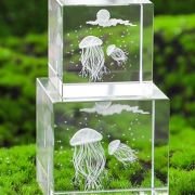 3d photo in crystal