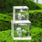 3d photo in crystal