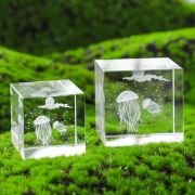3d photo in crystal
