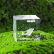 3d photo in crystal