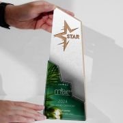 3d printed trophy