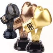 Boxing trophy