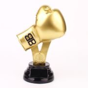 Boxing trophy