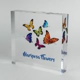 Butterfly-trophy-05.jpg