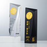 Coin-trophy-design-01.jpg