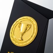 Coin trophy design