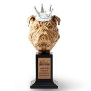 Crown Design Award