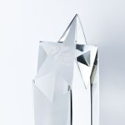Crystal Star Trophy