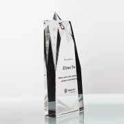 Crystal Star trophy custom