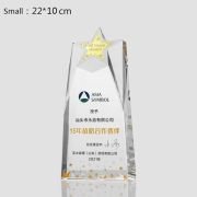 Crystal Star trophy custom