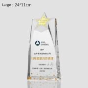 Crystal Star trophy custom
