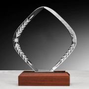Crystal blank trophy