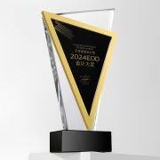 Designer trophy