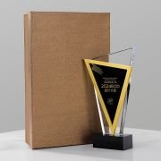 Designer trophy