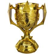 Championship trophy