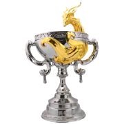 Championship trophy
