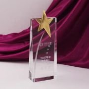 Gold Star Trophy