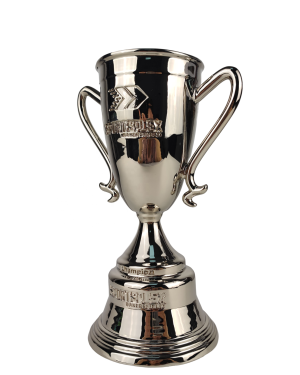 football fifa trophies​