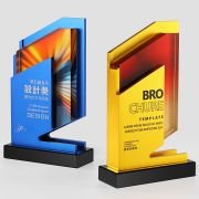 Design Games trophy