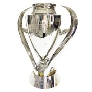 Champions league football trophy