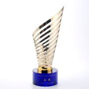 Club Match Trophy