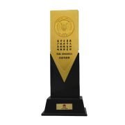 Outstanding expert Trophy