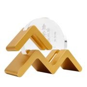 Rising Star Role Model Award