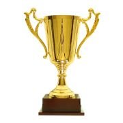 Sporting Event trophies