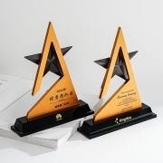 Excellent Team Trophy