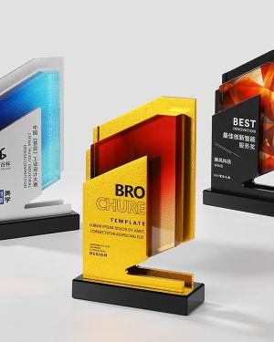 Design Games trophy