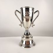 football fifa trophies