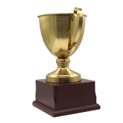 big fantasy football trophy