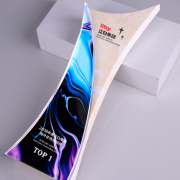 Outstanding dealer trophy