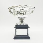 Silver trophy