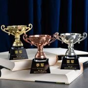 Youth trophy