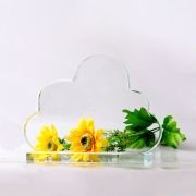 Best management trophy