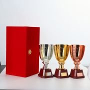 Baseball trophy