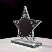 Enterprise Star trophy