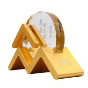 Rising Star Role Model Award