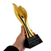 Best Social Responsibility Award