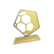 Arab football trophy