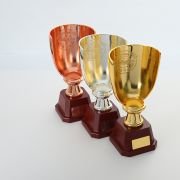 Baseball trophy
