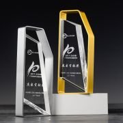 Contribution award trophy