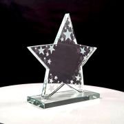 Enterprise Star trophy
