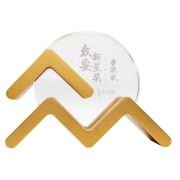 Rising Star Role Model Award