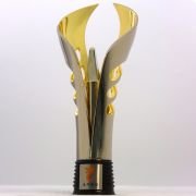 International image awards