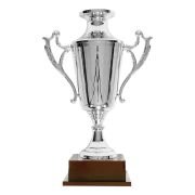 Sporting Event trophies