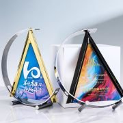 Strategic Partner Trophy